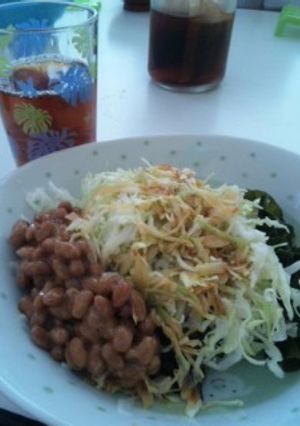あっさり！でも味はこってり丼-レシピのメイン写真
