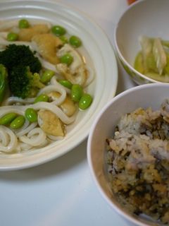 さっぱりうどん-レシピのメイン写真