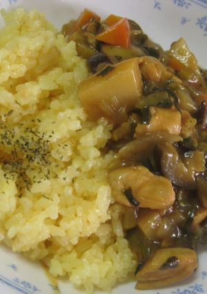 手作りの夏野菜たっぷりカレー-レシピのメイン写真