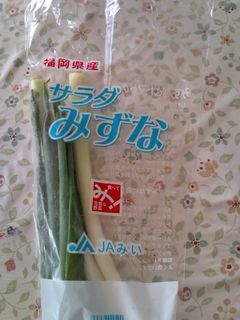簡単に。野菜の保存-レシピのメイン写真