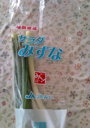 簡単に。野菜の保存-レシピのメイン写真