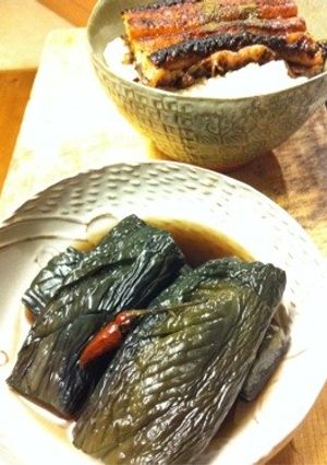 茄子の麺つゆ煮(o｀Θ´)ﾉ-レシピのメイン写真