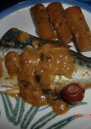 ＊鯖の味噌煮ｉｎ小梅ちゃん＊-レシピのメイン写真
