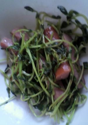 豆苗のシンプル炒め-レシピのメイン写真