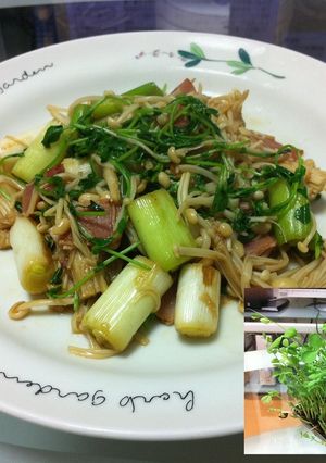 再生豆苗のガーリックオイスター炒め-レシピのメイン写真