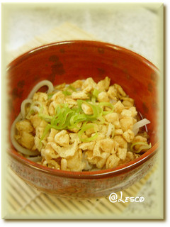 ☆カリカリ油揚げの冷やしうどん☆-レシピのメイン写真