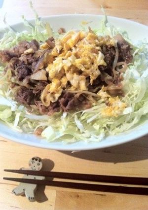キャベツたっぷり焼肉丼-レシピのメイン写真