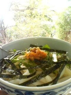 簡単涼風☆梅シソ冷うどん♪-レシピのメイン写真