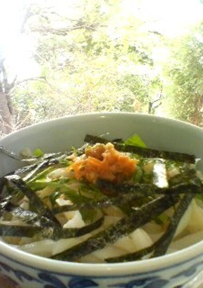 簡単涼風☆梅シソ冷うどん♪-レシピのメイン写真
