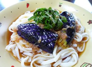 ☆素揚げ茄子載せのさっぱりサラダうどん☆-レシピのメイン写真