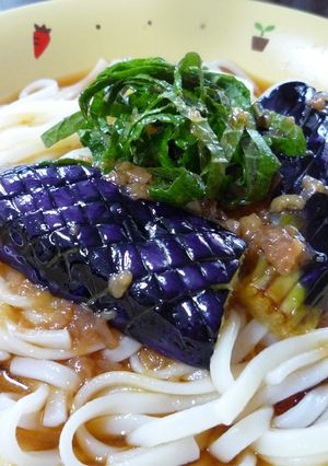 ☆素揚げ茄子載せのさっぱりサラダうどん☆-レシピのメイン写真