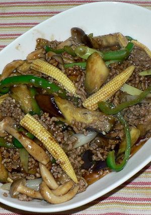 豚ひき肉とナスの甜麺醤炒め-レシピのメイン写真