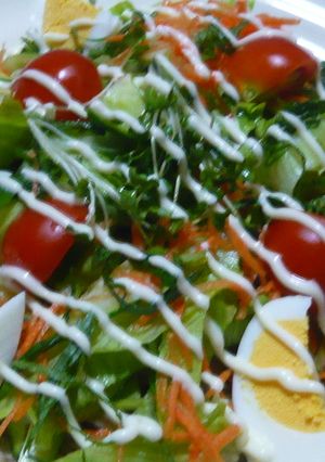 簡単サラダ麺♪-レシピのメイン写真