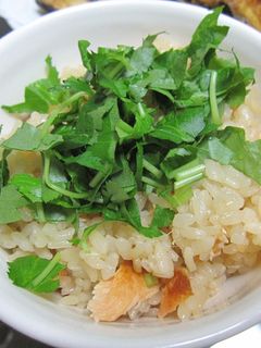 鮭ごはん-レシピのメイン写真