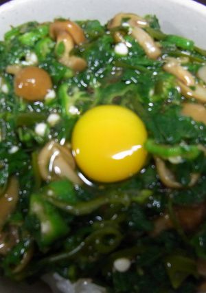 簡単あっさり！ねばねば野菜丼-レシピのメイン写真
