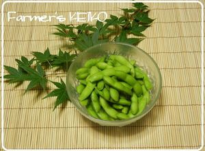 【農家のレシピ】美味しい枝豆の茹で方-レシピのメイン写真