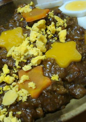 茄子のキーマカレー ~流れ星きらきら~-レシピのメイン写真