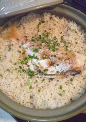 土鍋で鯛飯、鯛茶漬け-レシピのメイン写真
