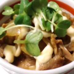 รูปของ 万能タレで豚丼