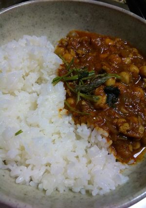 悶絶！簡単インドキーマカレー-レシピのメイン写真