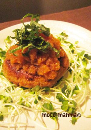おろしソースで♪ふんわりおからハンバーグ-レシピのメイン写真