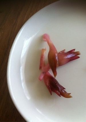 みょうが♪すし酢に漬けただけ☆-レシピのメイン写真