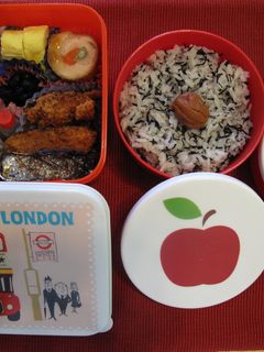 記録用☆年始め・幕の内弁当・2011☆-レシピのメイン写真