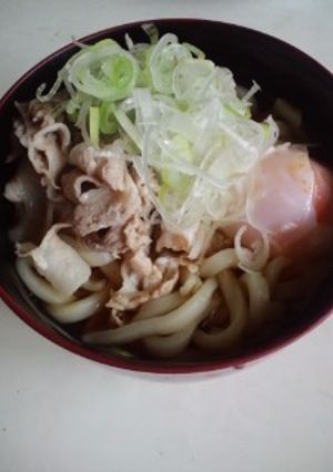 夏バテにも♪冷やしぶっかけカレーうどん-レシピのメイン写真