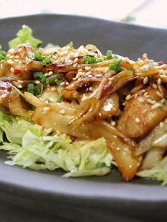 鶏肉とねぎのキムチ炒め-レシピのメイン写真