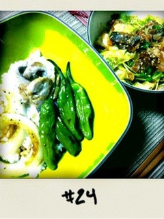 鰹のたたきをシンプルなタレで♪旨い丼☆-レシピのメイン写真