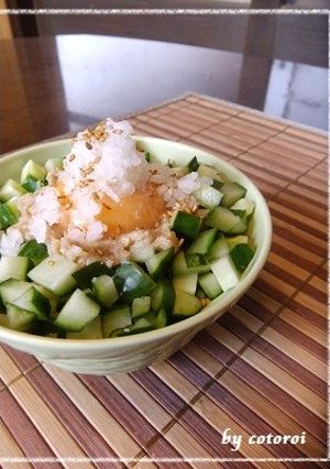 たっぷりキュウリのにんにく味噌丼-レシピのメイン写真