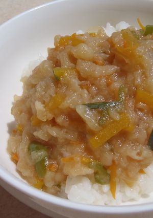 B級・・・だけど味は絶品!な天かす丼☆-レシピのメイン写真