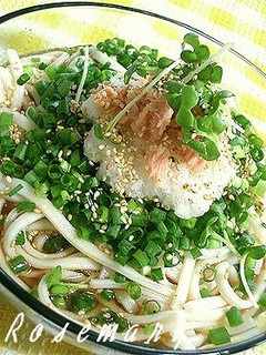 コロうどん~夏の定番!冷やしうどん~-レシピのメイン写真