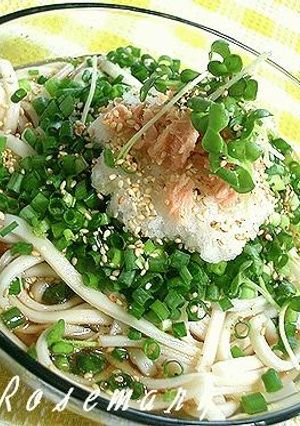 コロうどん~夏の定番!冷やしうどん~-レシピのメイン写真