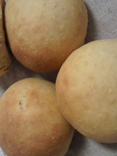 塩麹入り豆乳丸パン-レシピのメイン写真