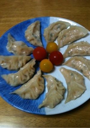 ヘルシー！もやシソ餃子-レシピのメイン写真