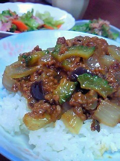 ゴーヤ入りキーマカレー-レシピのメイン写真