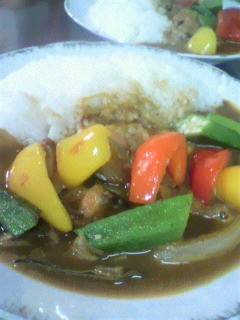 夏野菜たっぷりのカレー-レシピのメイン写真
