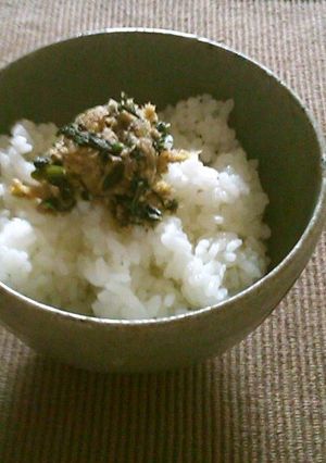 葉唐辛子さば味噌-レシピのメイン写真