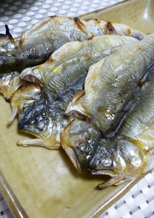 鮎の一昼干し-レシピのメイン写真
