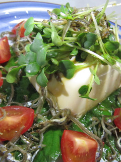☆栄養満点☆豆腐のサラダ-レシピのメイン写真