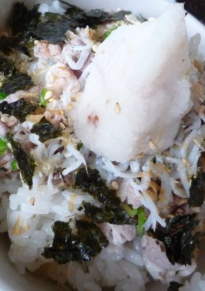 暑い夏に!!ぶっかけトンぶり-レシピのメイン写真