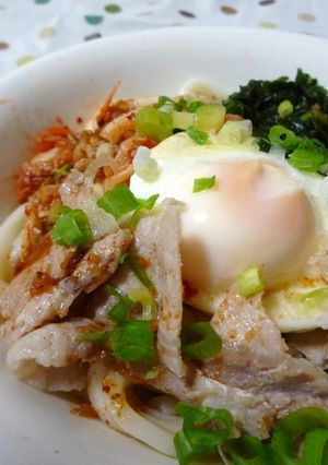 さっぱり★おろし豚キムチうどん-レシピのメイン写真