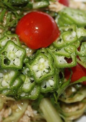 ミョウガと蒸し鶏の柚子胡椒ポン酢和え～♪-レシピのメイン写真