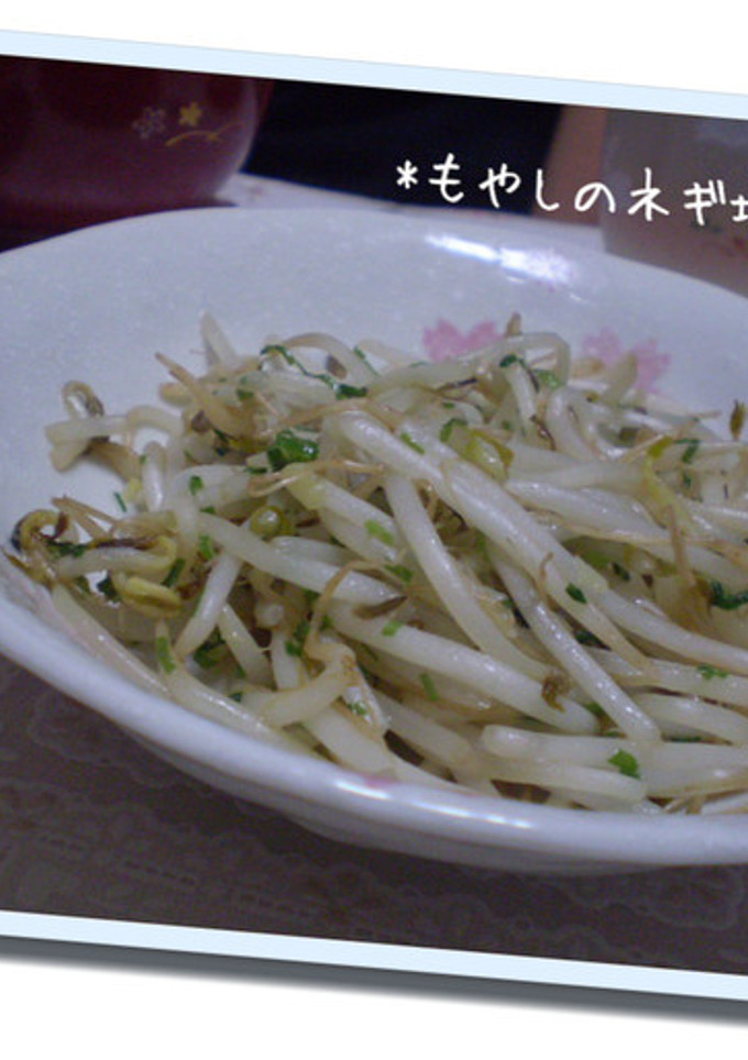 簡単うまい！もやしのネギ塩炒め-レシピのメイン写真