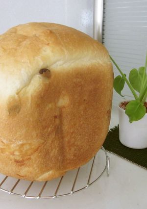 ダブルソフトみたいなふんわり食パン　ＨＢ-レシピのメイン写真