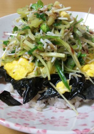 薬味でさっぱり丼-レシピのメイン写真