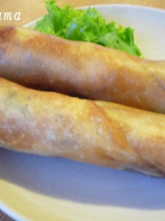 ゴーヤのチーズ春巻き☆-レシピのメイン写真