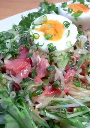 スモークサーモンとゴーヤの冷製パスタ-レシピのメイン写真