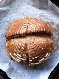 小麦胚芽たっぷり胡桃入りカンパーニュ-レシピのメイン写真